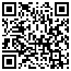 QR Code Handyversion