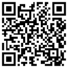 QR Code Handyversion