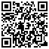 QR Code Handyversion