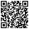 QR Code Handyversion