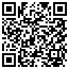 QR Code Handyversion