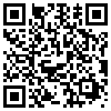 QR Code Handyversion