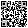 QR Code Handyversion