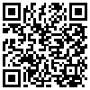 QR Code Handyversion