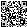 QR Code Handyversion