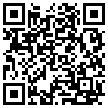 QR Code Handyversion