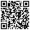 QR Code Handyversion