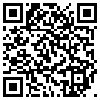 QR Code Handyversion