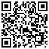 QR Code Handyversion