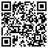 QR Code Handyversion