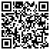 QR Code Handyversion