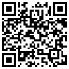 QR Code Handyversion