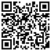 QR Code Handyversion