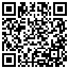 QR Code Handyversion