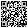 QR Code Handyversion