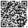 QR Code Handyversion