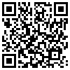 QR Code Handyversion