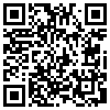 QR Code Handyversion