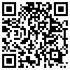 QR Code Handyversion