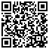 QR Code Handyversion