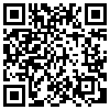 QR Code Handyversion