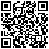 QR Code Handyversion