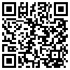 QR Code Handyversion