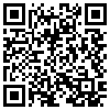 QR Code Handyversion