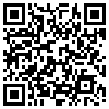 QR Code Handyversion