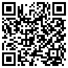 QR Code Handyversion