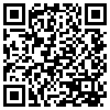 QR Code Handyversion