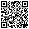 QR Code Handyversion