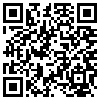 QR Code Handyversion