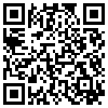 QR Code Handyversion