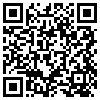 QR Code Handyversion