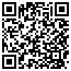 QR Code Handyversion