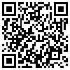 QR Code Handyversion