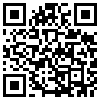 QR Code Handyversion