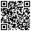 QR Code Handyversion