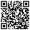 QR Code Handyversion