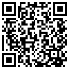 QR Code Handyversion