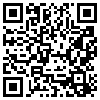 QR Code Handyversion