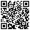 QR Code Handyversion