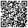 QR Code Handyversion