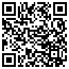 QR Code Handyversion