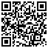 QR Code Handyversion