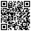 QR Code Handyversion