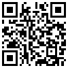 QR Code Handyversion