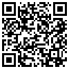 QR Code Handyversion