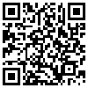 QR Code Handyversion